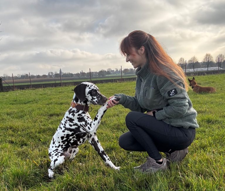 Ein fröhlich, hechelnder Australian Shepherd am Strand mit verschwommenem Hintergrund.